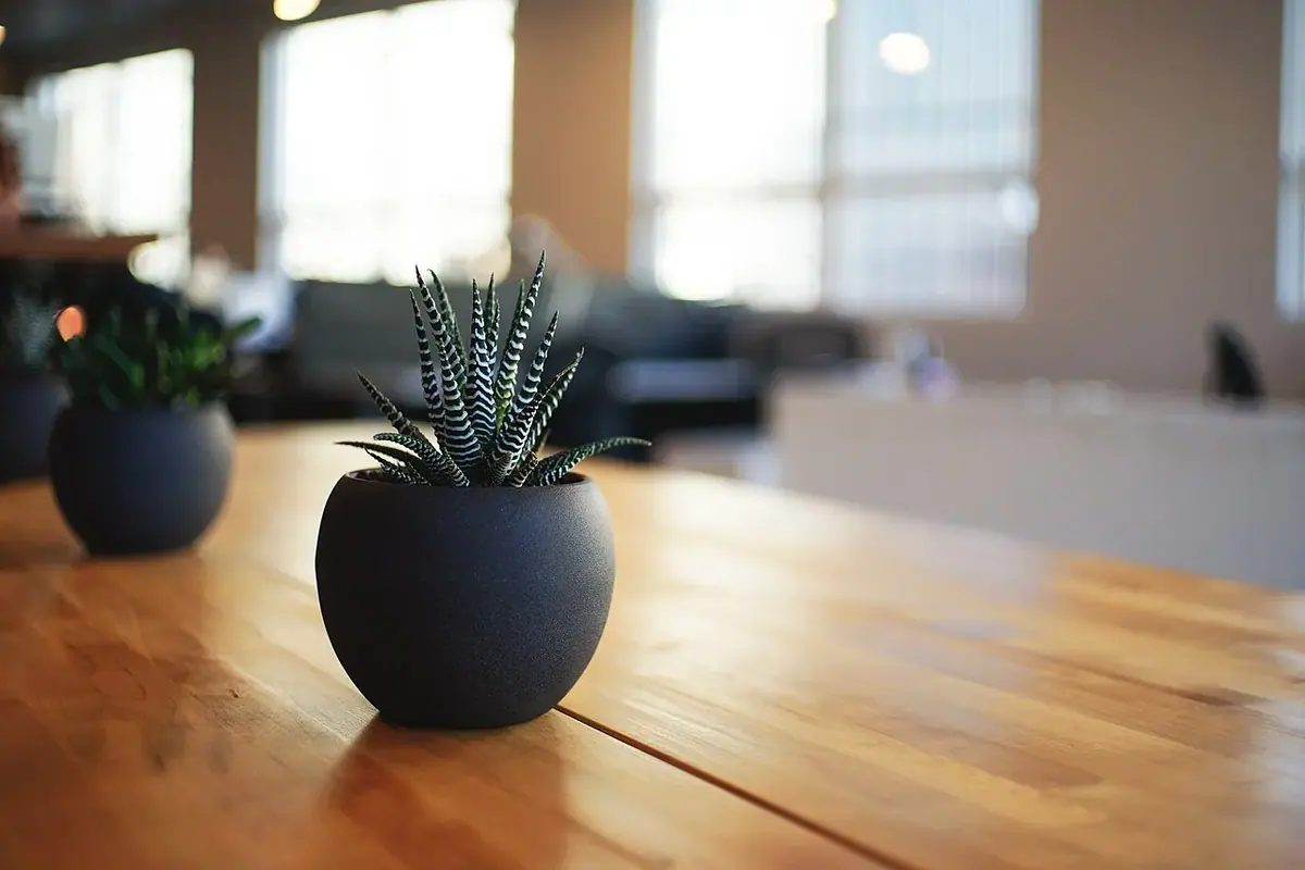 Ofis ve toplantı alanı — temsili fotoğraf