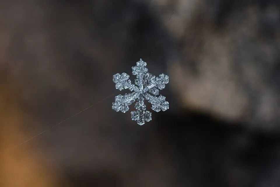 Snowflake on web Bytom.jpg