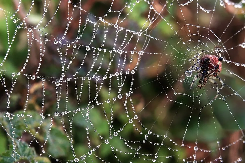 Ofis ve ortak çalışma ortamından bir görünüm