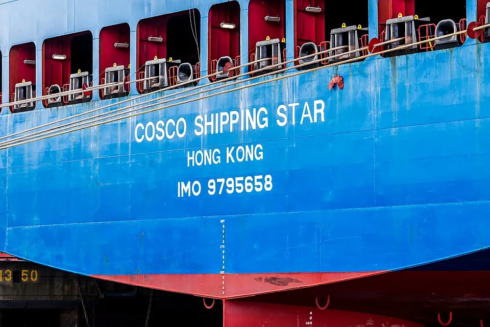 Cosco Shipping Star - IMO 9795658 - moored at Container Terminal Tollerort, Hamburg-9363.jpg