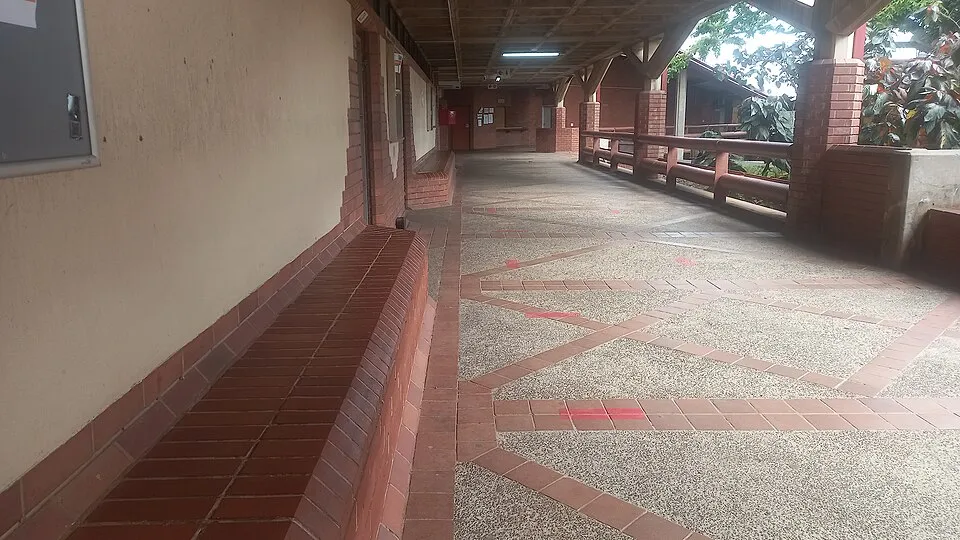 Ofis ve ortak çalışma ortamından bir görünüm