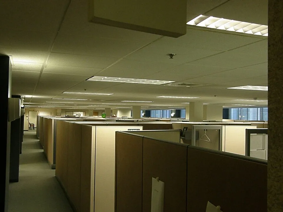 Ofis ve ortak çalışma ortamından bir görünüm