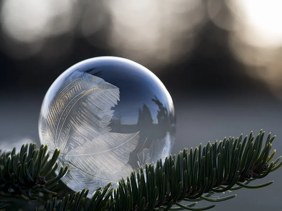 Frozen soap bubble behind fir twigs (Unsplash BojuZpqw4zM).jpg