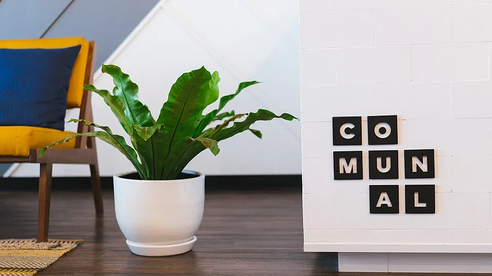 Ofis ve ortak çalışma ortamından bir görünüm