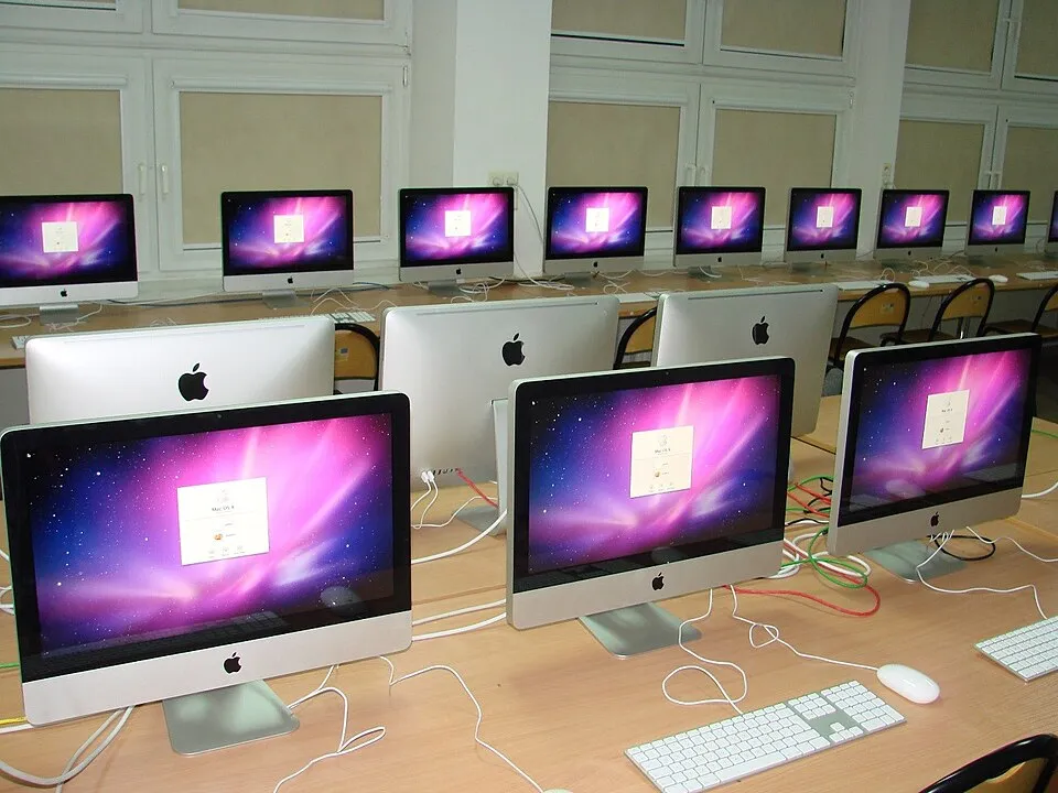 Ofis ve ortak çalışma ortamından bir görünüm