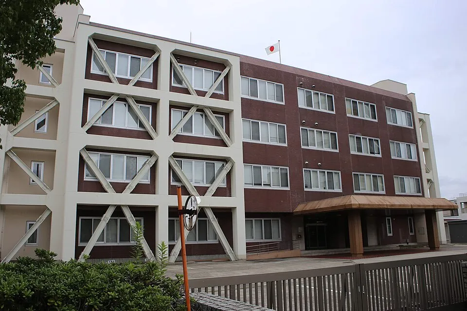 Ofis ve ortak çalışma ortamından bir görünüm