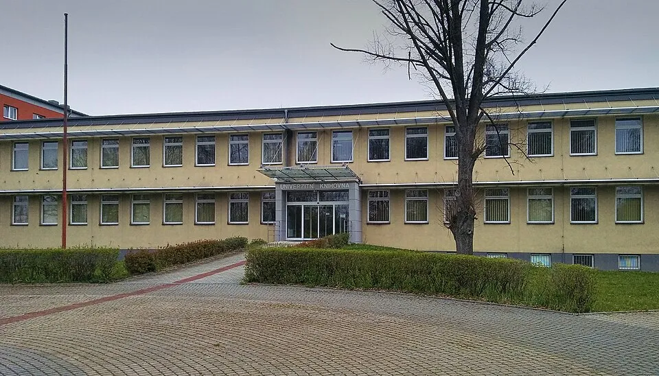 Hizmet ve çalışma hayatından bir görünüm